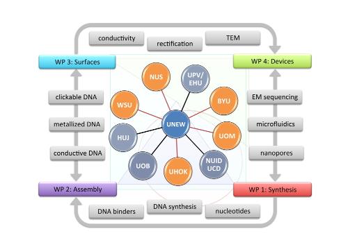 DNASURF interconnections